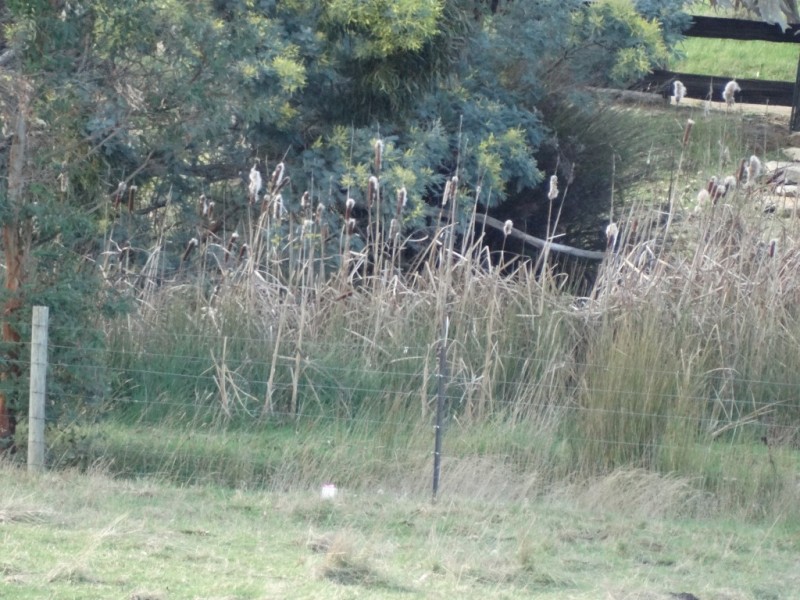 Lot 1 Black Hills Road, Magra TAS 7140