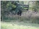 Lot 1 Black Hills Road, Magra TAS 7140
