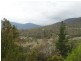 108 Wyre Forest Road, Molesworth TAS 7140