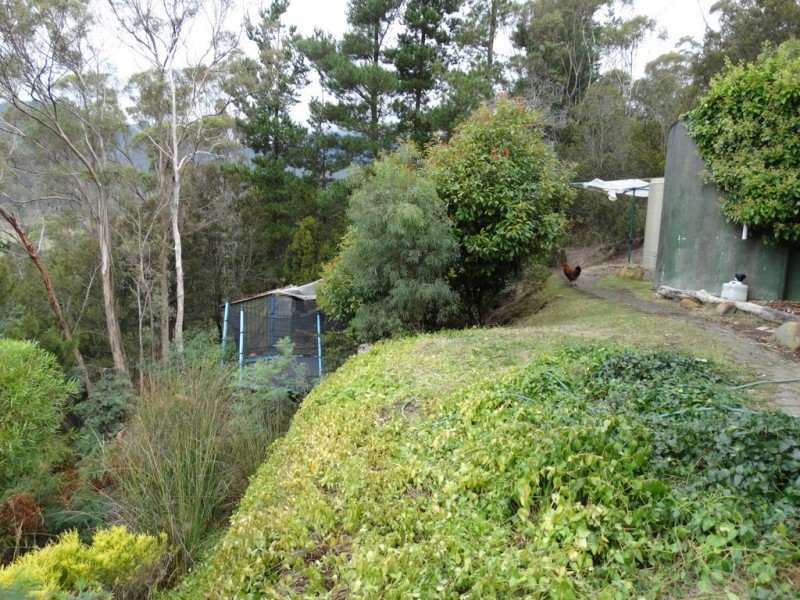 108 Wyre Forest Road, Molesworth TAS 7140