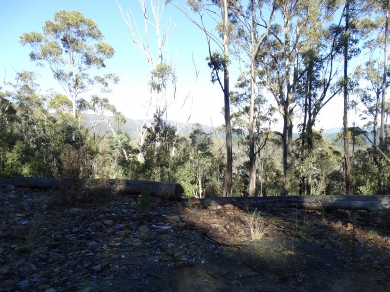 652 Mount Lloyd, Mount Lloyd TAS 7140