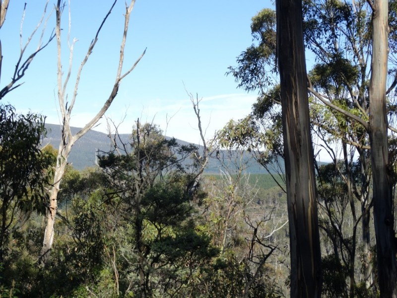 652 Mount Lloyd, Mount Lloyd TAS 7140