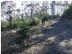 652 Mount Lloyd, Mount Lloyd TAS 7140