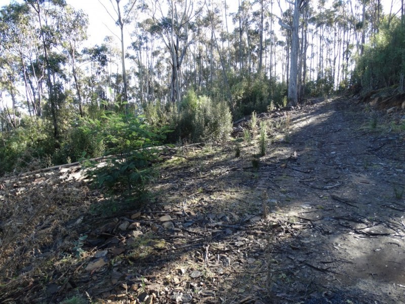 652 Mount Lloyd, Mount Lloyd TAS 7140