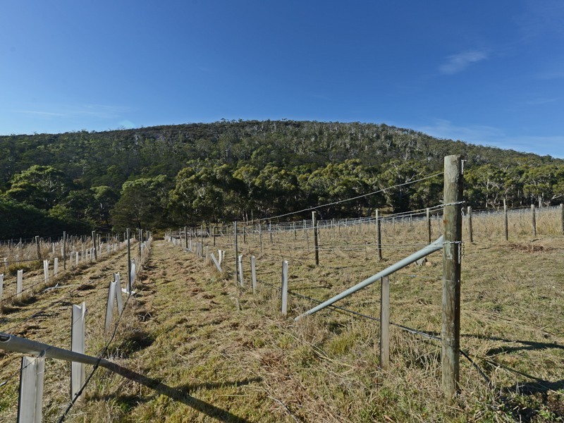 103 Centauri Drive, Mount Rumney TAS 7170