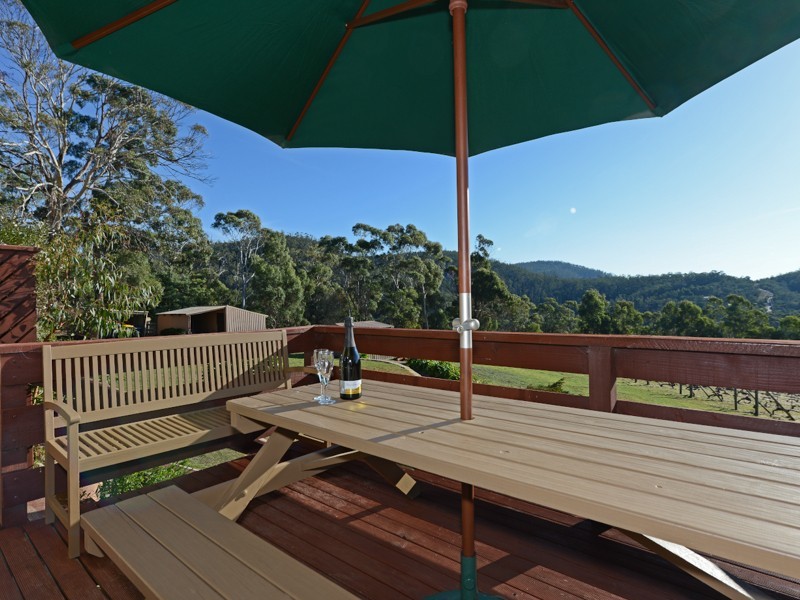 107 Centauri Drive, Mount Rumney TAS 7170