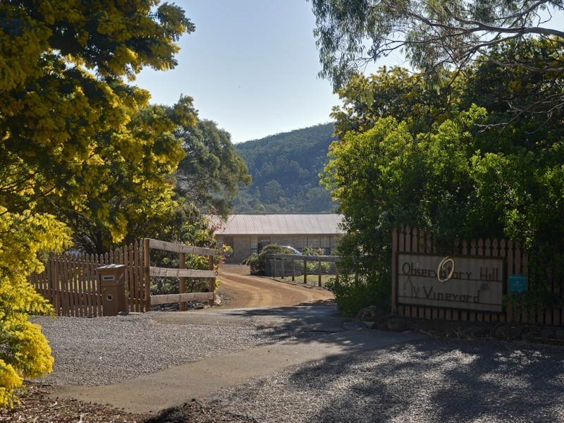 107 Centauri Drive, Mount Rumney TAS 7170