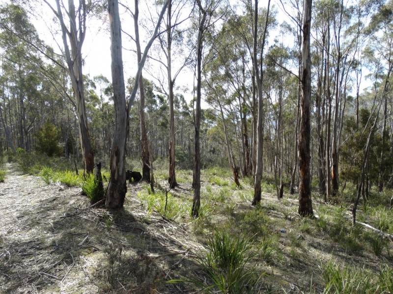 Lot 1 Moogara Road, Moogara TAS 7140