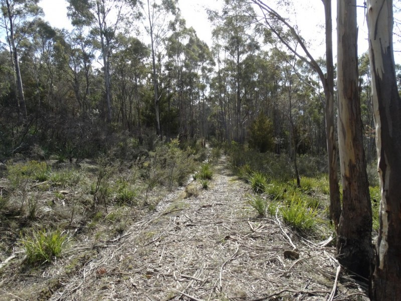 Lot 1 Moogara Road, Moogara TAS 7140
