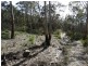 Lot 1 Moogara Road, Moogara TAS 7140