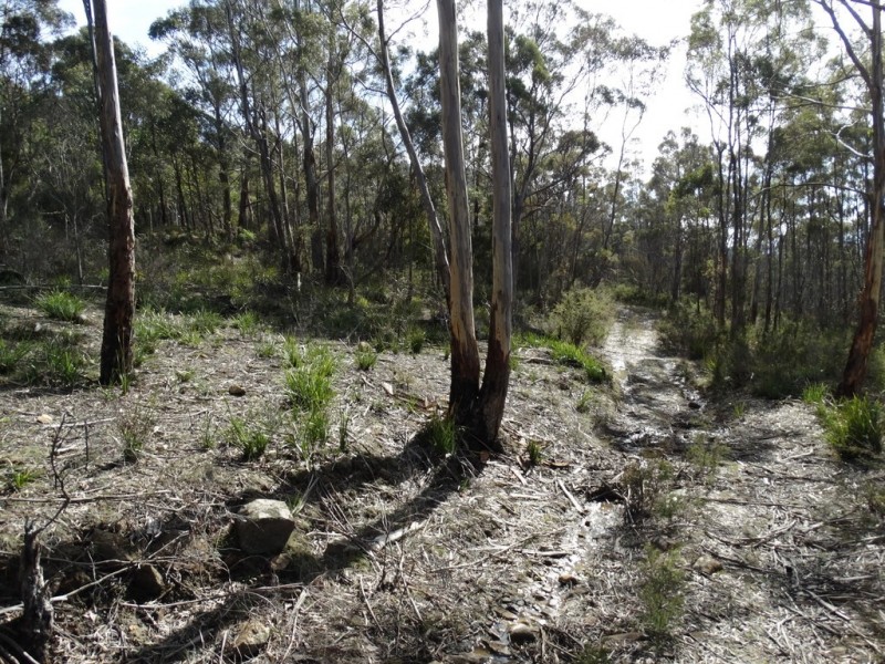 Lot 1 Moogara Road, Moogara TAS 7140