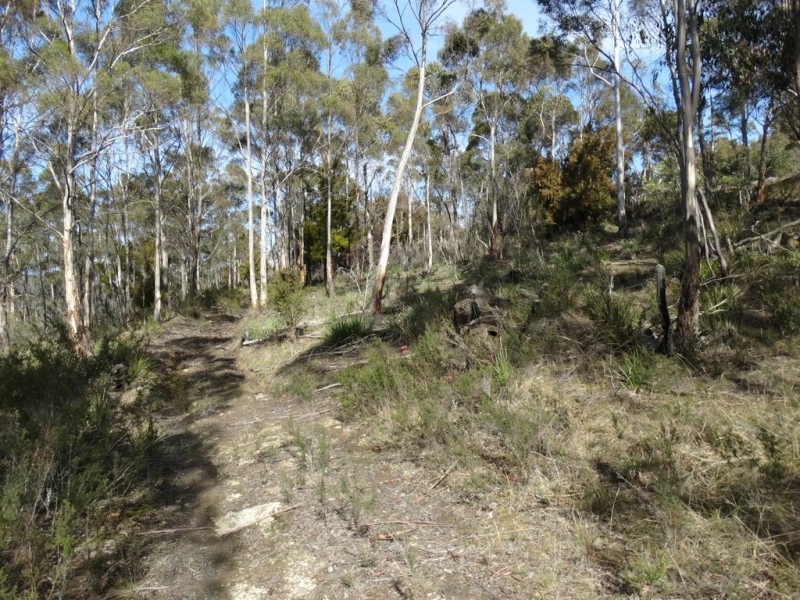 Lot 1 Moogara Road, Moogara TAS 7140