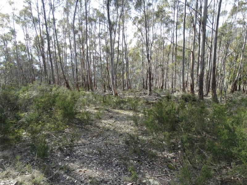 Lot 1 Moogara Road, Moogara TAS 7140