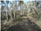 Lot 1 Moogara Road, Moogara TAS 7140