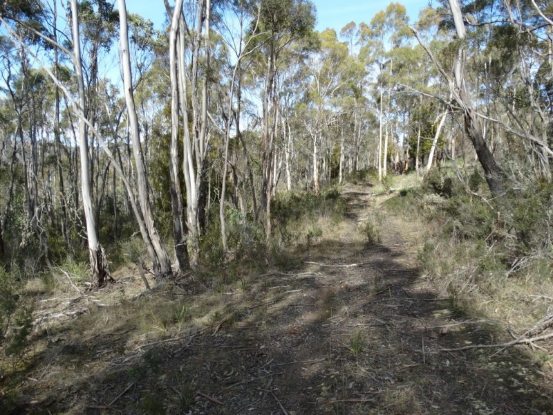 Lot 1 Moogara Road, Moogara TAS 7140