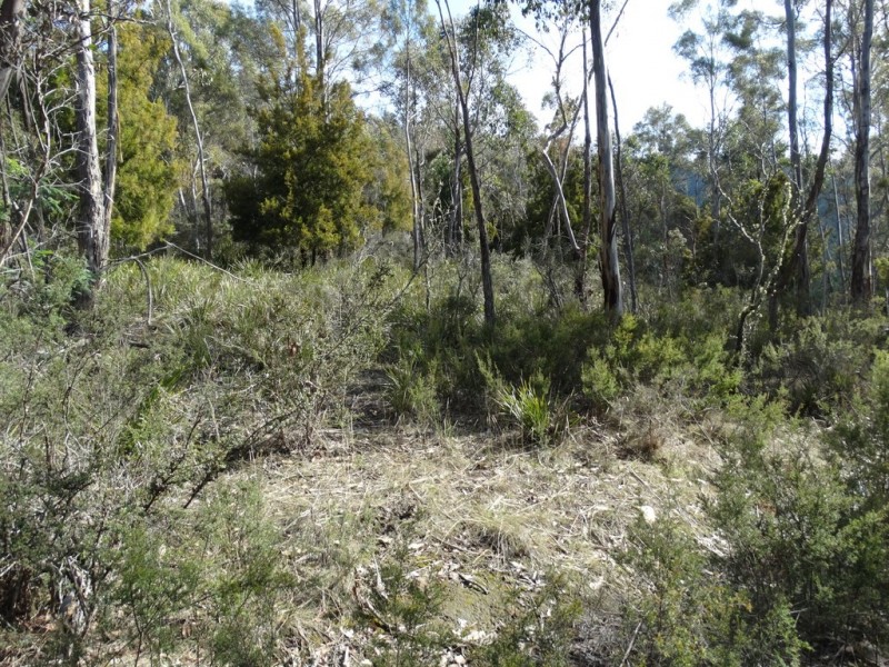 Lot 1 Moogara Road, Moogara TAS 7140