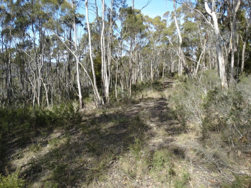 Lot 1 Moogara Road, Moogara TAS 7140