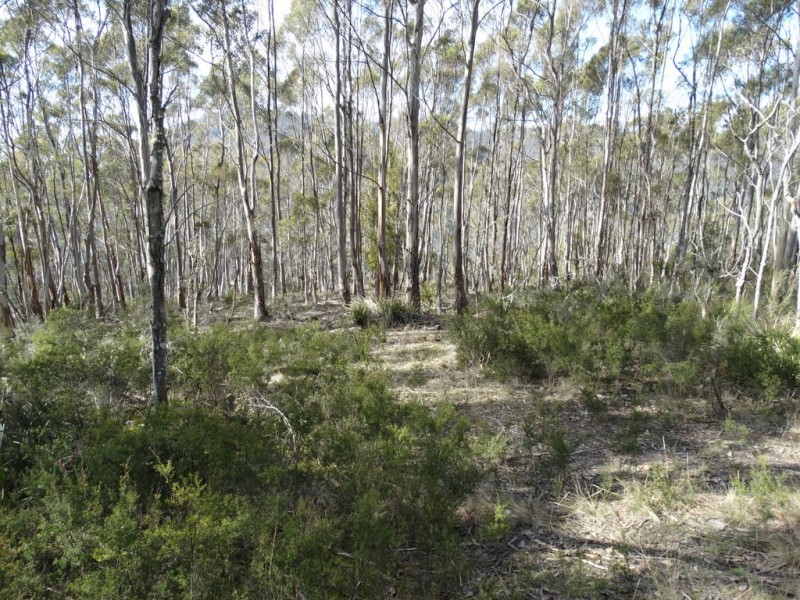 Lot 1 Moogara Road, Moogara TAS 7140