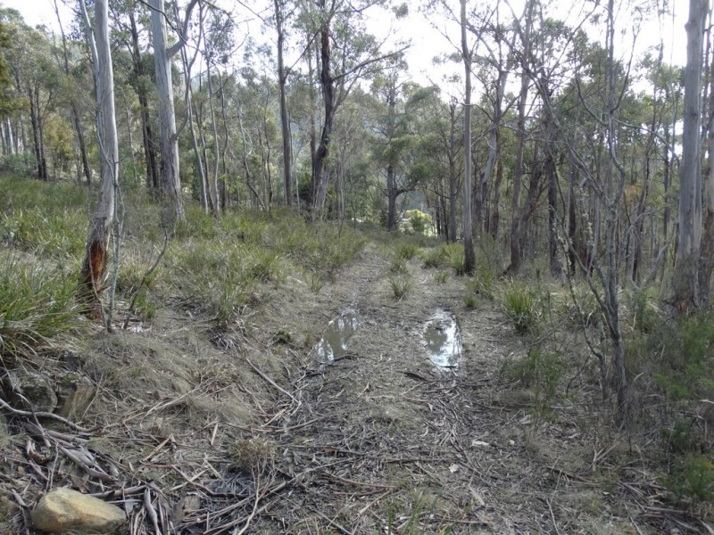 Lot 1 Moogara Road, Moogara TAS 7140
