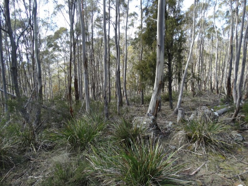 Lot 1 Moogara Road, Moogara TAS 7140
