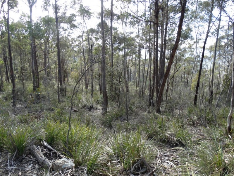 Lot 1 Moogara Road, Moogara TAS 7140