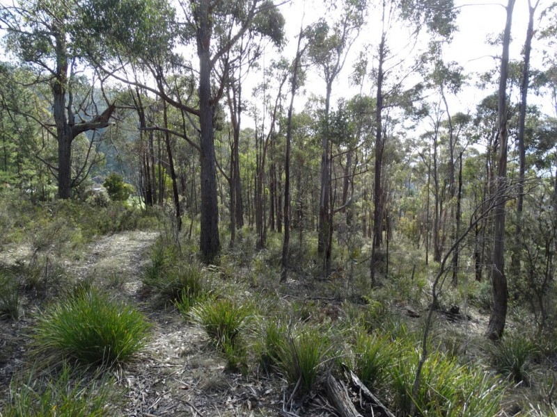 Lot 1 Moogara Road, Moogara TAS 7140