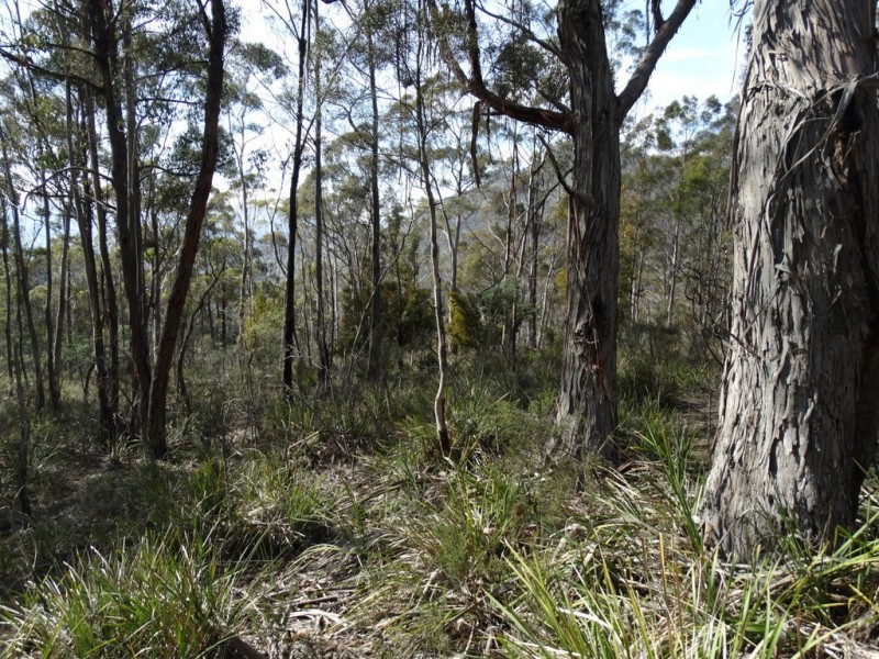 Lot 1 Moogara Road, Moogara TAS 7140