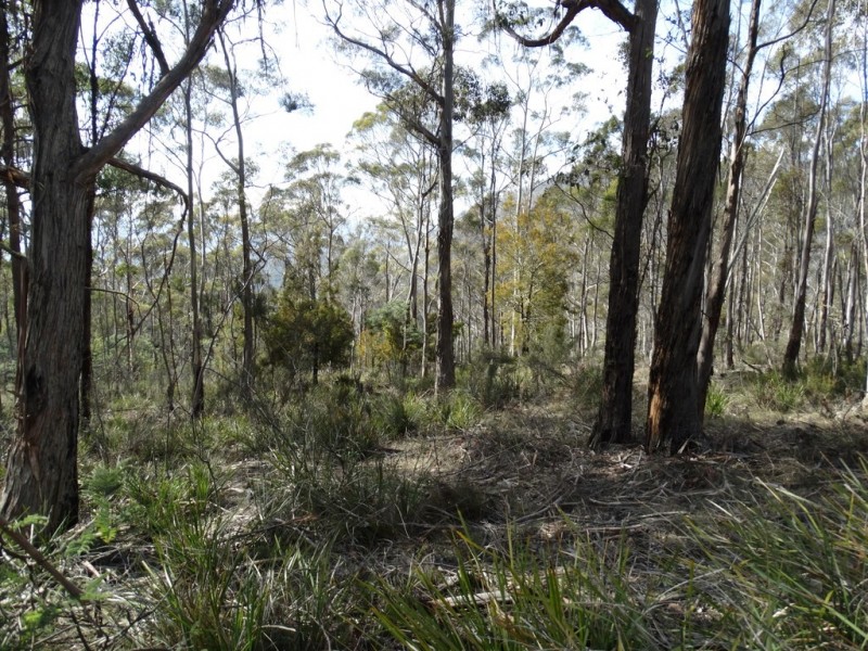 Lot 1 Moogara Road, Moogara TAS 7140