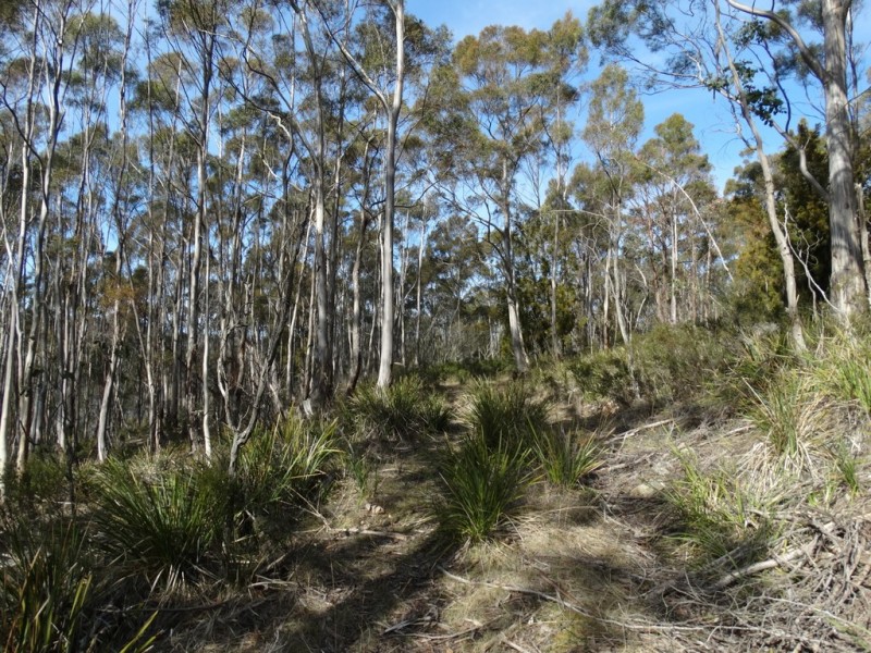 Lot 1 Moogara Road, Moogara TAS 7140