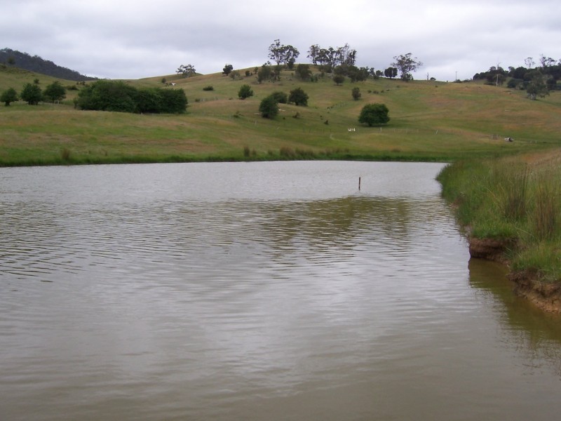 Lot 7 Fosters Road, Dysart TAS 7030