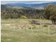 411 Woolpack Road, Gretna TAS 7140