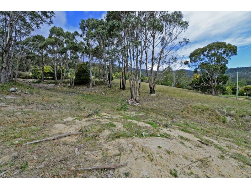101 Hydehurst Road, Lachlan TAS 7140
