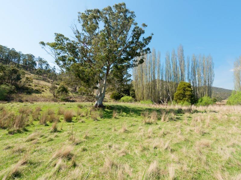 1204 Ellendale Road, Ellendale TAS 7140