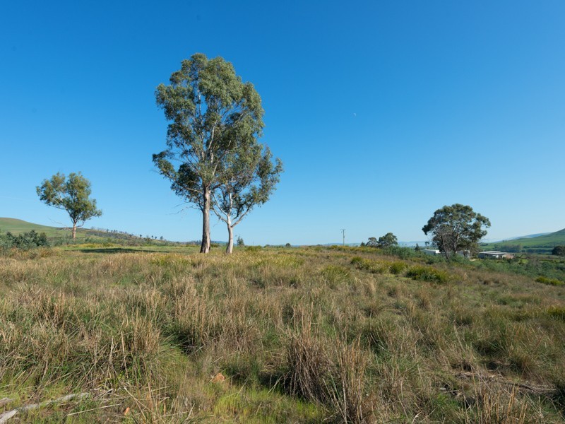 Lot 3 Jones River Road, Meadowbank TAS 7140