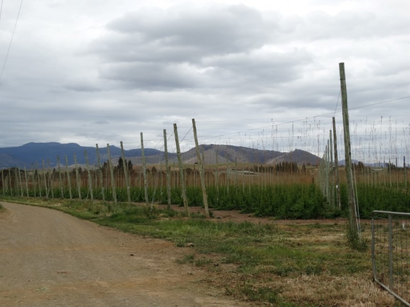 539 Gordon River Road, Bushy Park TAS 7140