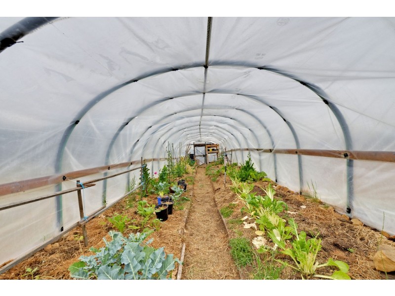 180 Pearces Road, Strickland TAS 7140