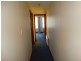 8 Giddy Avenue, New Norfolk TAS 7140