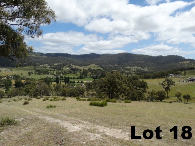 Lot 15 Menzies Road, Lachlan TAS 7140