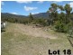 Lot 15 Menzies Road, Lachlan TAS 7140