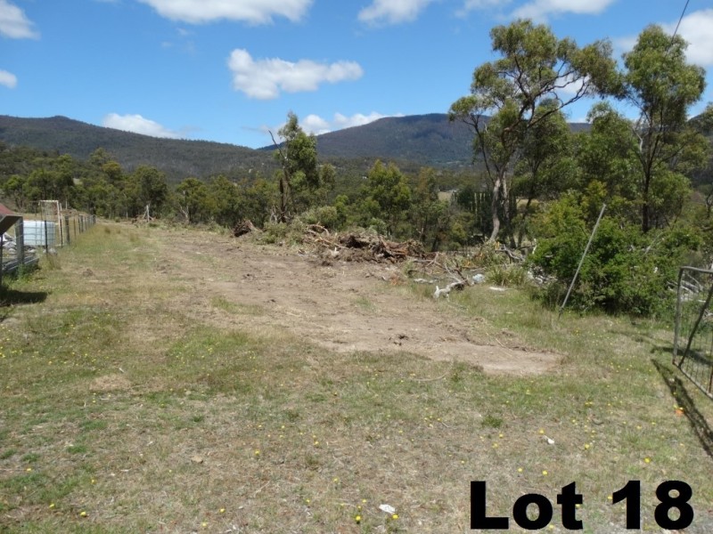 Lot 15 Menzies Road, Lachlan TAS 7140