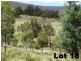 Lot 15 Menzies Road, Lachlan TAS 7140