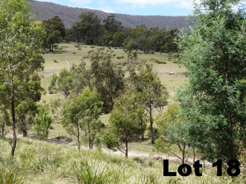 Lot 15 Menzies Road, Lachlan TAS 7140