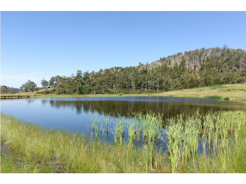 9 Marriotts Road, Ellendale TAS 7140