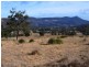 00 Collins Cap Road, Molesworth TAS 7140