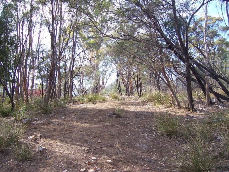 00 Collins Cap Road, Molesworth TAS 7140