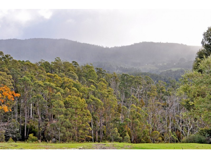 112 Jefferys Track, Lachlan TAS 7140