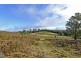 305 Rinadena Road, Moogara TAS 7140