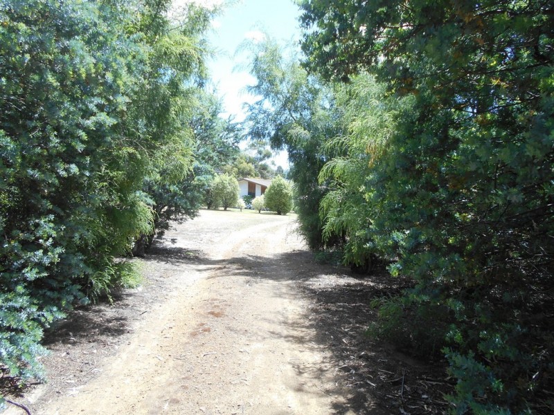 1 Agnes Street, Triabunna TAS 7190