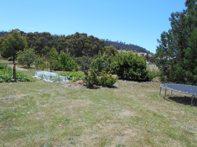 1 Agnes Street, Triabunna TAS 7190
