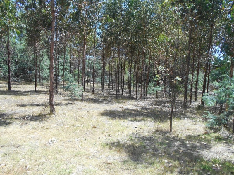 1 Agnes Street, Triabunna TAS 7190